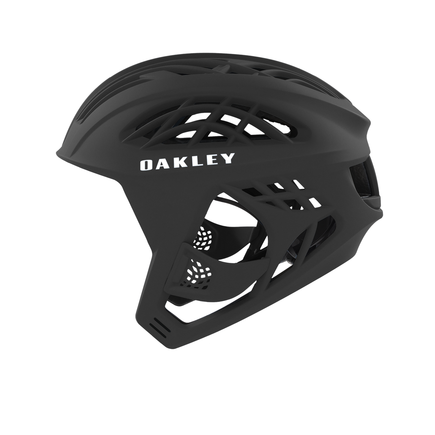 Oakley WTR Icon Helmet