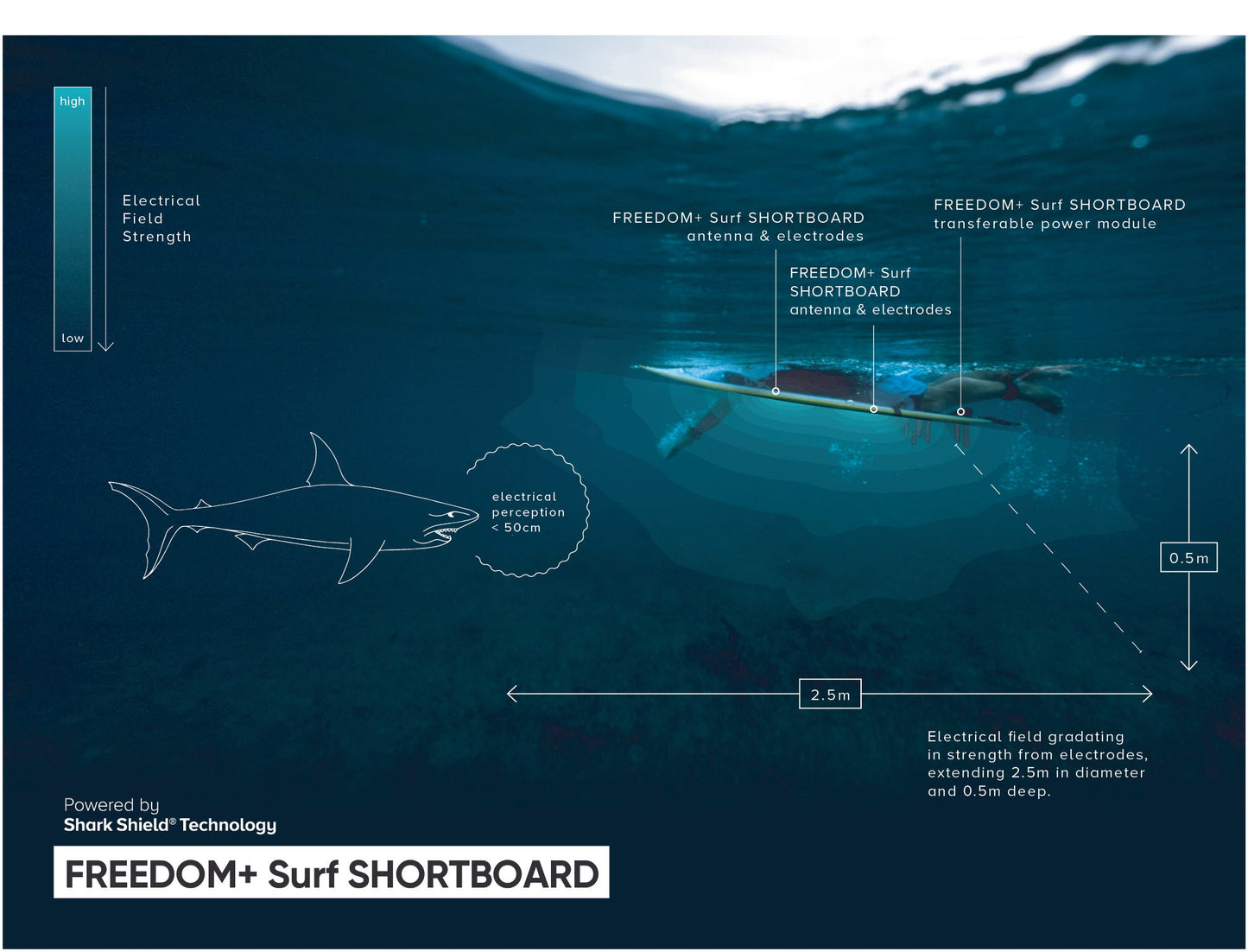 OCEAN GUARDIAN FREEDOM+ SURF - SHORTBOARD