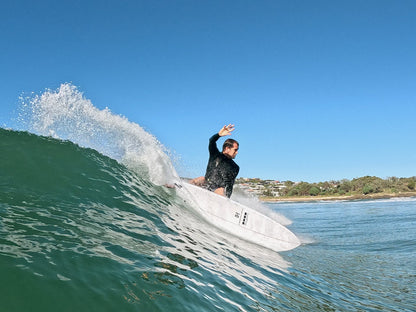 Harley Ingleby HIBT 3+3