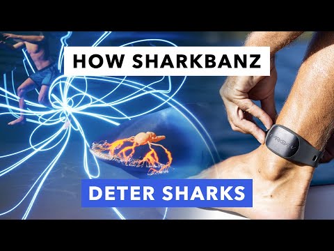 SHARKBANZ 2 - WEARABLE SHARK DETERRENT – Surfection Mosman
